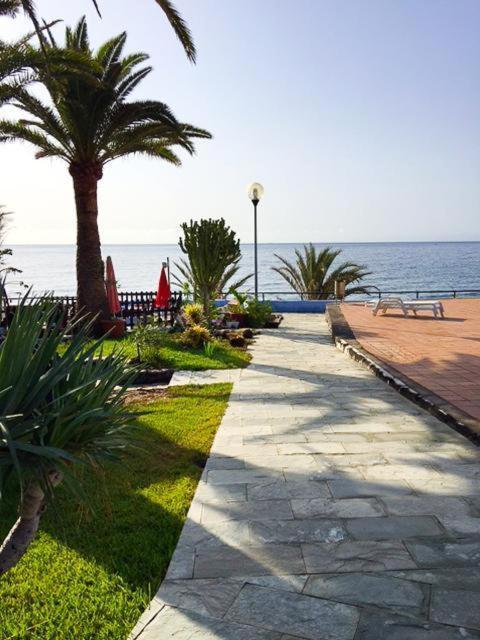Lidia & Paco Home Two Bedrooms Beachfront Плайя-дель-Агила Экстерьер фото